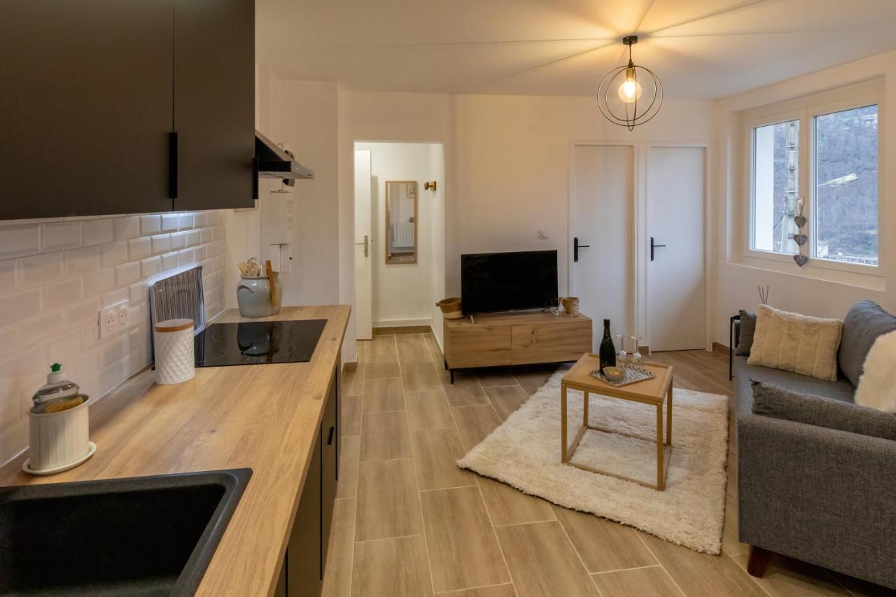 Les Appartements De Clelia Ax-les-Thermes Eksteriør bilde